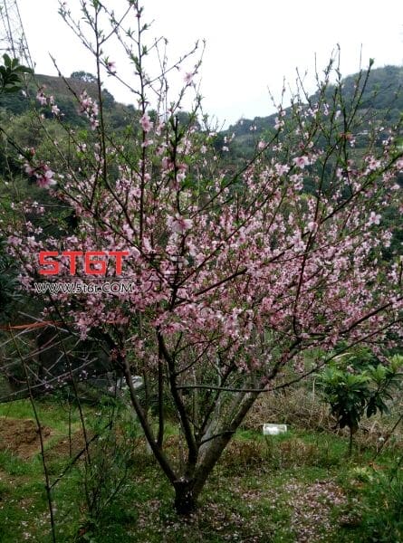 传奇世界重走落霞摸不到的时光看不见的流年 文章收藏-第1张